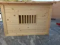 Dog House
