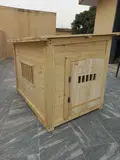 Dog House